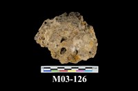 藏品(褐鐵礦)的圖片